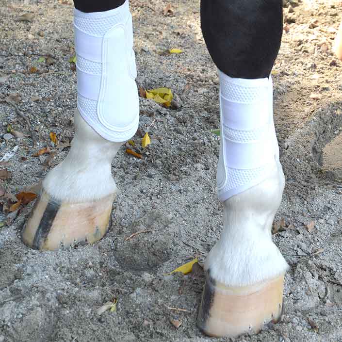 Pro Mesh Dressage