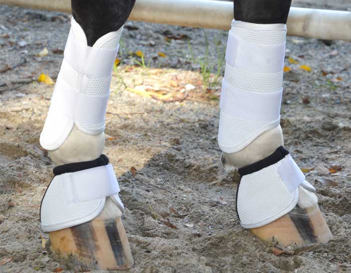Pro Mesh Equestrian Boots