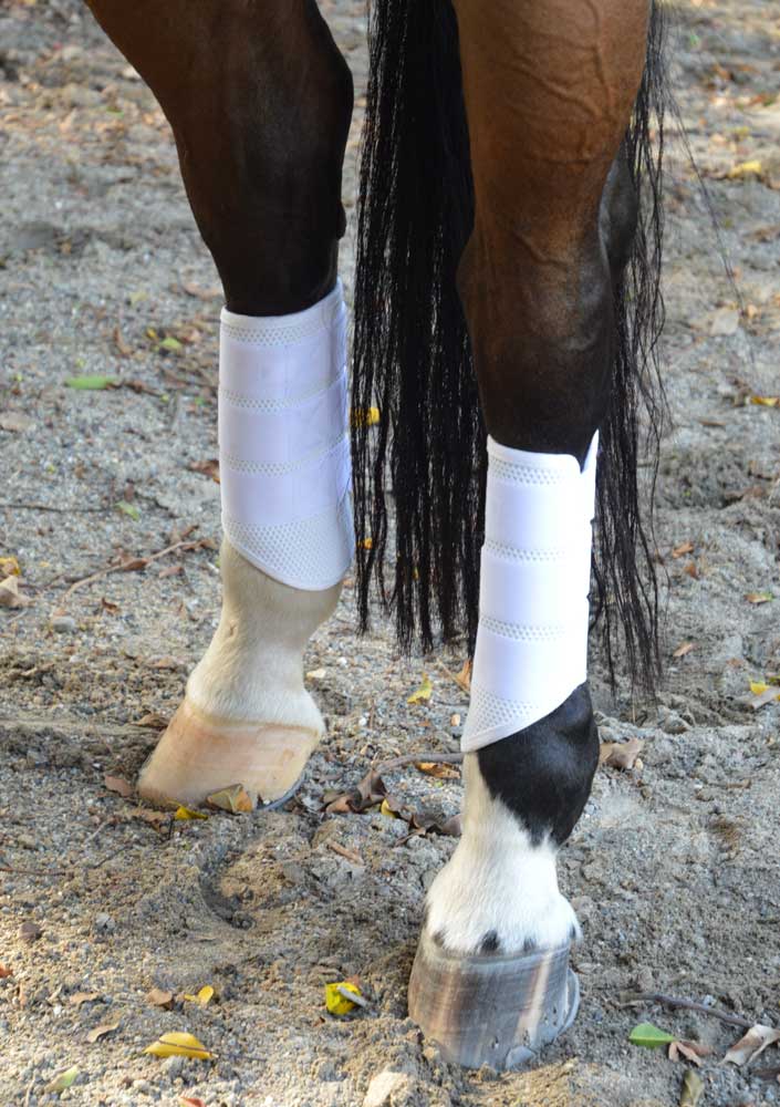 Pro Mesh Cross Country Boot